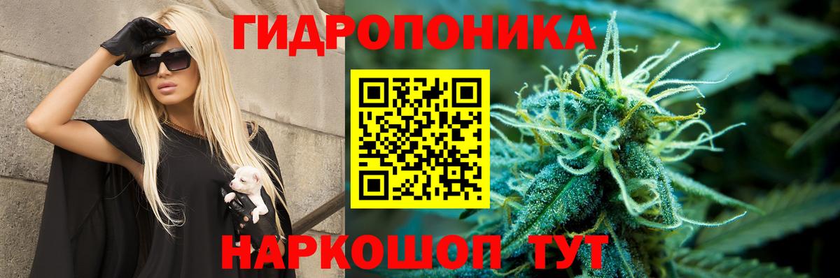 Заволжье  Бошки Шишки VHQ  Бошки Шишки марихуана  Вход с VPN 